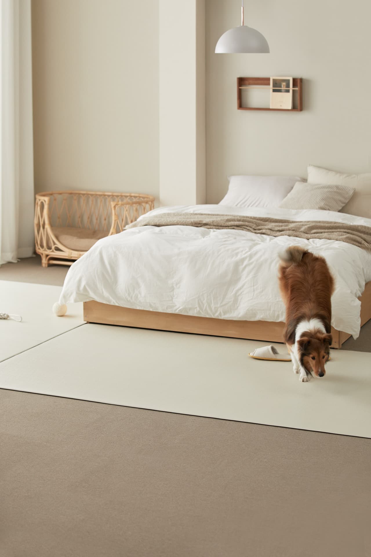 Pet mat in bedroom